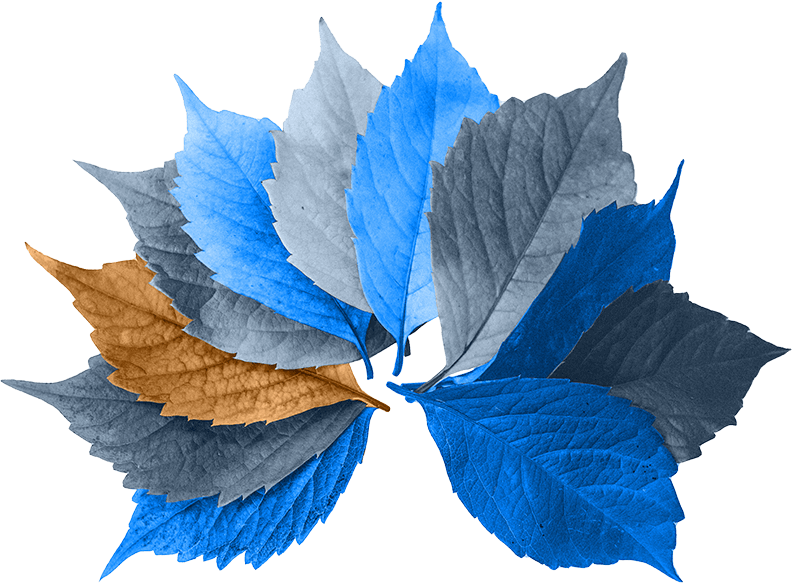 promo-developer promo-developer